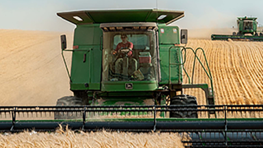 _rt_dc765e98-c4f5-7f7b-387c-4c56ee510069